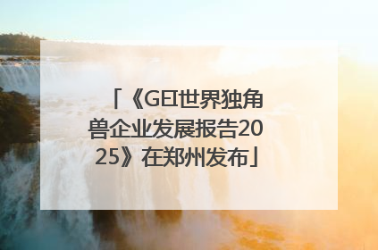 《GEI世界独角兽企业发展报告2025》在郑州发布