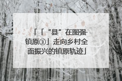 「“县”在图强·镇原③」走向乡村全面振兴的镇原轨迹