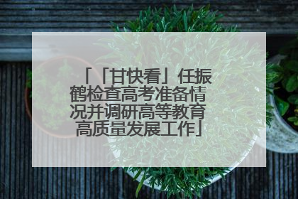 「甘快看」任振鹤检查高考准备情况并调研高等教育高质量发展工作