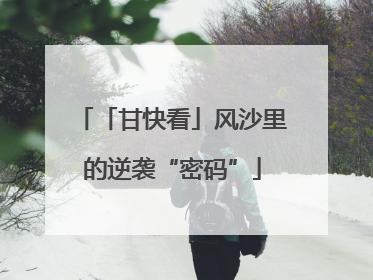 「甘快看」风沙里的逆袭“密码”