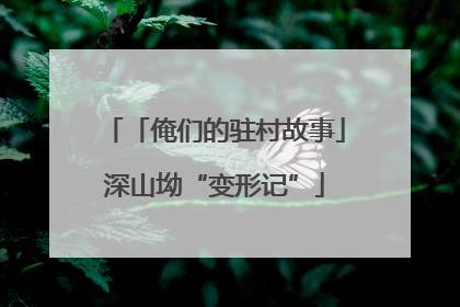 「俺们的驻村故事」深山坳“变形记”