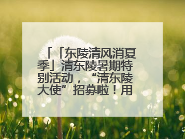 「东陵清风消夏季」清东陵暑期特别活动，“清东陵大使”招募啦！用你的热爱守护世界遗产！