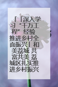 「深入学习“千万工程”经验 推进乡村全面振兴」和美荔城 共富共美 荔城区扎实推进乡村振兴工作