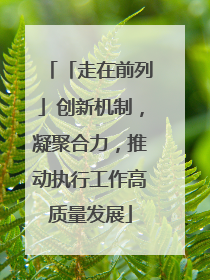 「走在前列」创新机制，凝聚合力，推动执行工作高质量发展