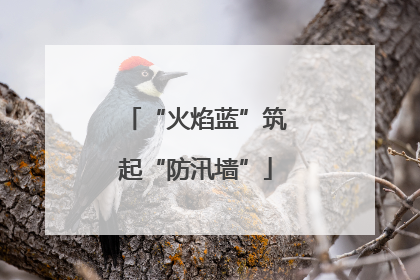 “火焰蓝”筑起“防汛墙”