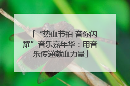 “热血节拍 音你闪耀”音乐嘉年华：用音乐传递献血力量