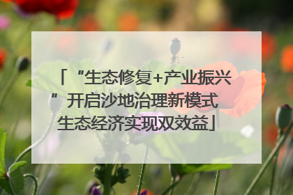 “生态修复+产业振兴”开启沙地治理新模式 生态经济实现双效益