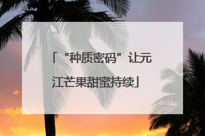 “种质密码”让元江芒果甜蜜持续