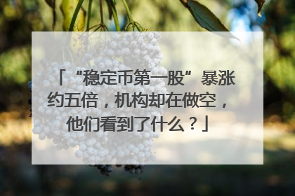 “稳定币第一股”暴涨约五倍，机构却在做空，他们看到了什么？