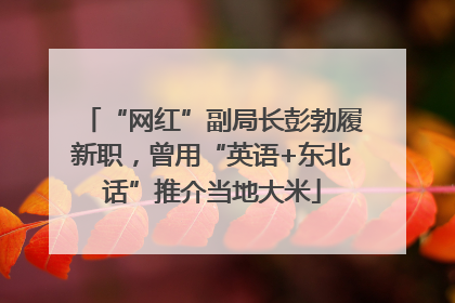 “网红”副局长彭勃履新职，曾用“英语+东北话”推介当地大米