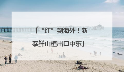 “红”到海外！新泰鲜山楂出口中东