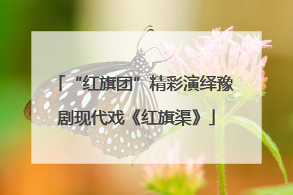 “红旗团”精彩演绎豫剧现代戏《红旗渠》