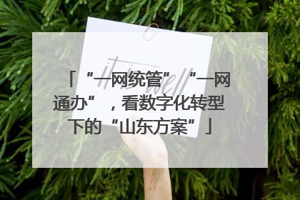 “一网统管”“一网通办”，看数字化转型下的“山东方案”