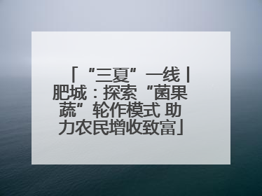 “三夏”一线丨肥城：探索“菌果蔬”轮作模式 助力农民增收致富
