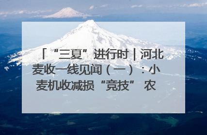 “三夏”进行时｜河北麦收一线见闻（一）：小麦机收减损“竞技” 农机高手麦田“过招”