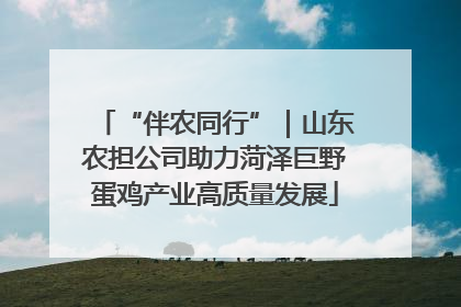 “伴农同行”｜山东农担公司助力菏泽巨野蛋鸡产业高质量发展