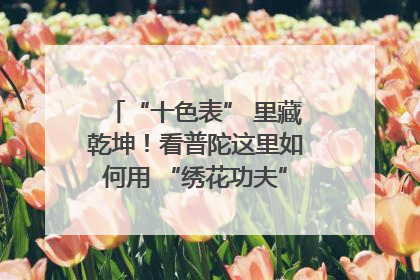 “十色表” 里藏乾坤！看普陀这里如何用 “绣花功夫” 织就社区治理