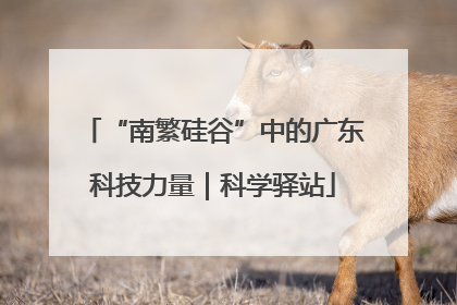 “南繁硅谷”中的广东科技力量｜科学驿站