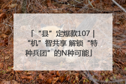 “县”定爆款107｜“机”智共享 解锁“特种兵团”的N种可能