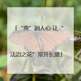 “典”润人心 让“法治之花”常开长盛