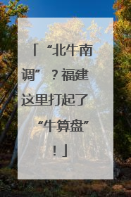 “北牛南调”？福建这里打起了“牛算盘”！