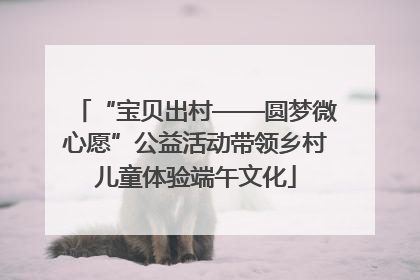 “宝贝出村——圆梦微心愿”公益活动带领乡村儿童体验端午文化