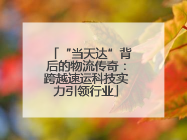 “当天达”背后的物流传奇：跨越速运科技实力引领行业