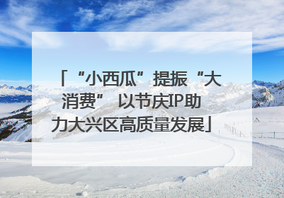“小西瓜”提振“大消费” 以节庆IP助力大兴区高质量发展