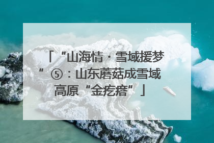 “山海情・雪域援梦”⑤：山东蘑菇成雪域高原“金疙瘩”