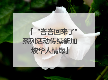 “峇峇回来了”系列活动传续新加坡华人情缘