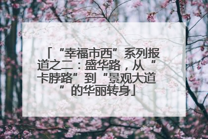 “幸福市西”系列报道之二：盛华路，从“卡脖路”到“景观大道”的华丽转身