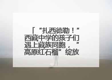“扎西德勒！”西藏中学的孩子们遇上藏族同胞，“高原红石榴”绽放荆楚大地