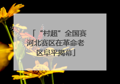 “村超”全国赛河北赛区在革命老区阜平揭幕