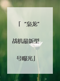 “枭龙”战机最新型号曝光