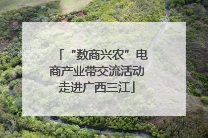 “数商兴农”电商产业带交流活动走进广西三江