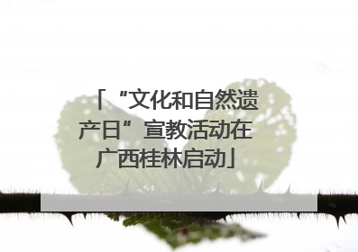 “文化和自然遗产日”宣教活动在广西桂林启动