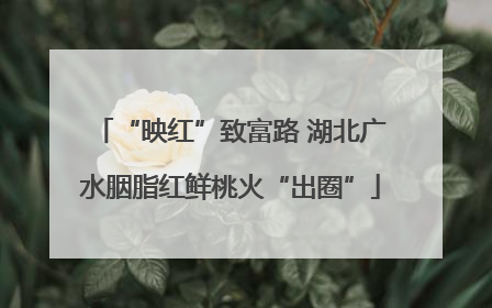 “映红”致富路 湖北广水胭脂红鲜桃火“出圈”