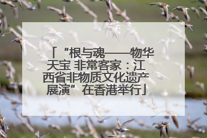 “根与魂——物华天宝 非常客家：江西省非物质文化遗产展演”在香港举行