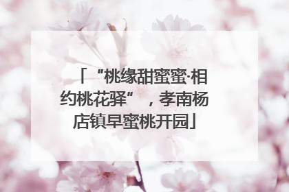 “桃缘甜蜜蜜·相约桃花驿”，孝南杨店镇早蜜桃开园