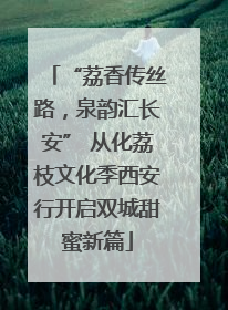 “荔香传丝路，泉韵汇长安” 从化荔枝文化季西安行开启双城甜蜜新篇