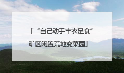 “自己动手丰衣足食”矿区闲置荒地变菜园