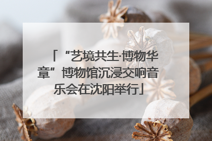 “艺境共生·博物华章”博物馆沉浸交响音乐会在沈阳举行