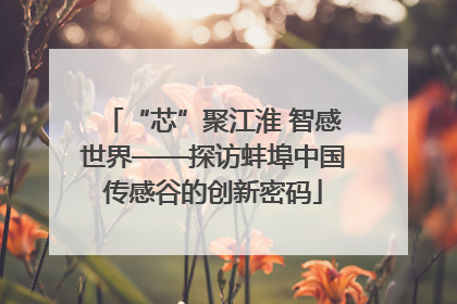 “芯”聚江淮 智感世界——探访蚌埠中国传感谷的创新密码