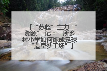 “苏超”主力 “溯源” 记：一所乡村小学如何炼成足球 “造星梦工场”