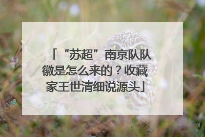 “苏超”南京队队徽是怎么来的？收藏家王世清细说源头