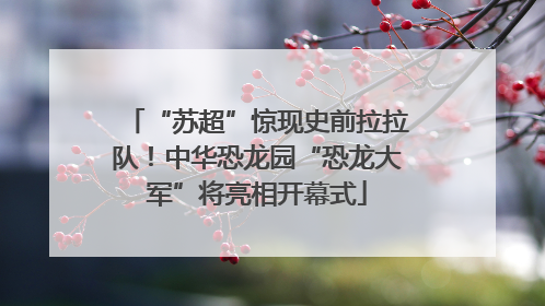 “苏超”惊现史前拉拉队！中华恐龙园“恐龙大军”将亮相开幕式