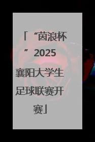 “茵浪杯”2025襄阳大学生足球联赛开赛