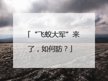 “飞蚁大军”来了，如何防？