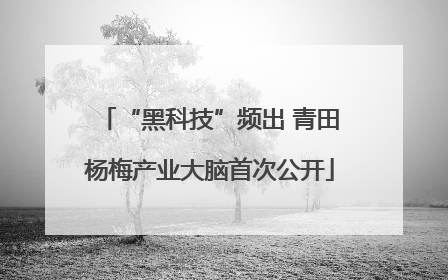 “黑科技”频出 青田杨梅产业大脑首次公开