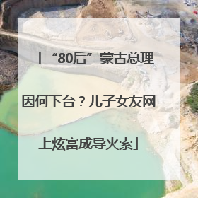 “80后”蒙古总理因何下台？儿子女友网上炫富成导火索